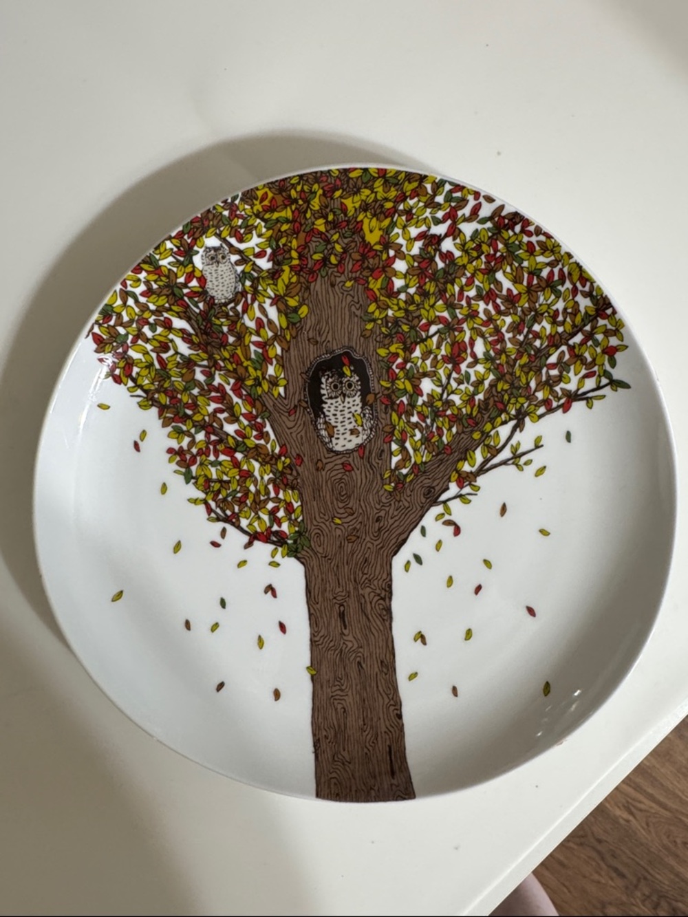 West Elm Whimsical White Ceramic Owl Tree Plate with Brown Trunk